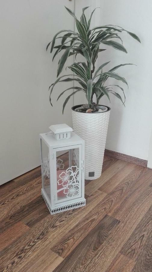 Appartement Apartman Sara à Šibenik Extérieur photo