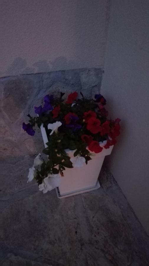 Appartement Apartman Sara à Šibenik Extérieur photo